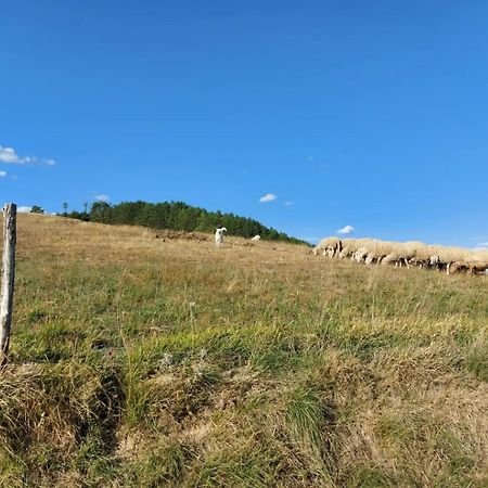 Bnb Bagno Di Bosco Gubbio Exterior photo