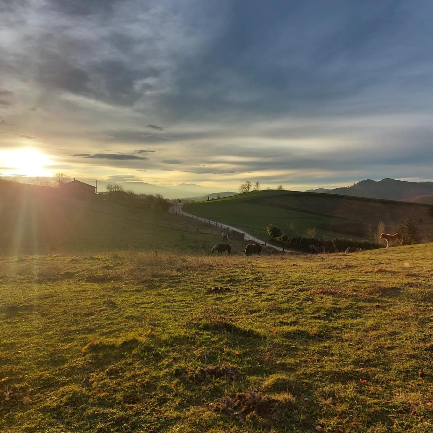 Bnb Bagno Di Bosco Gubbio Exterior photo